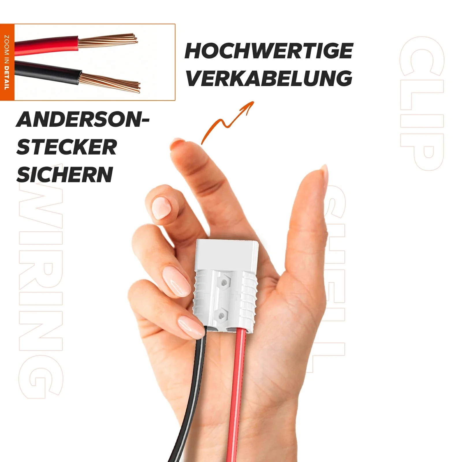 Vorschaubild 8